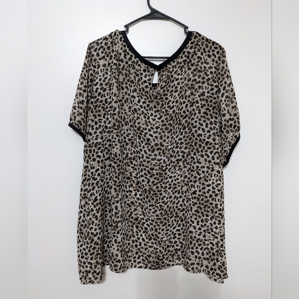 Torrid 5 - Picture 2 of 3